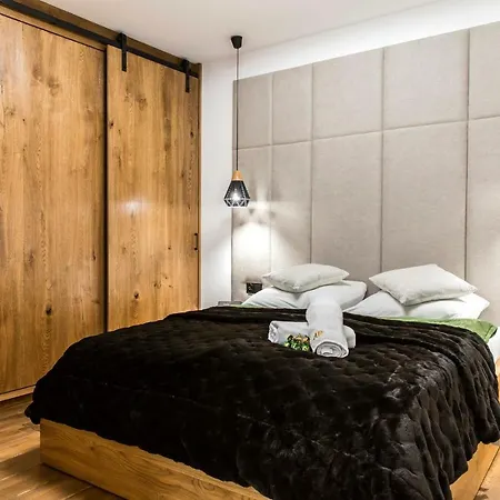 Nowy Komfortowy Apartament & Spa Grizzly De Lux Zakopane Exterior photo